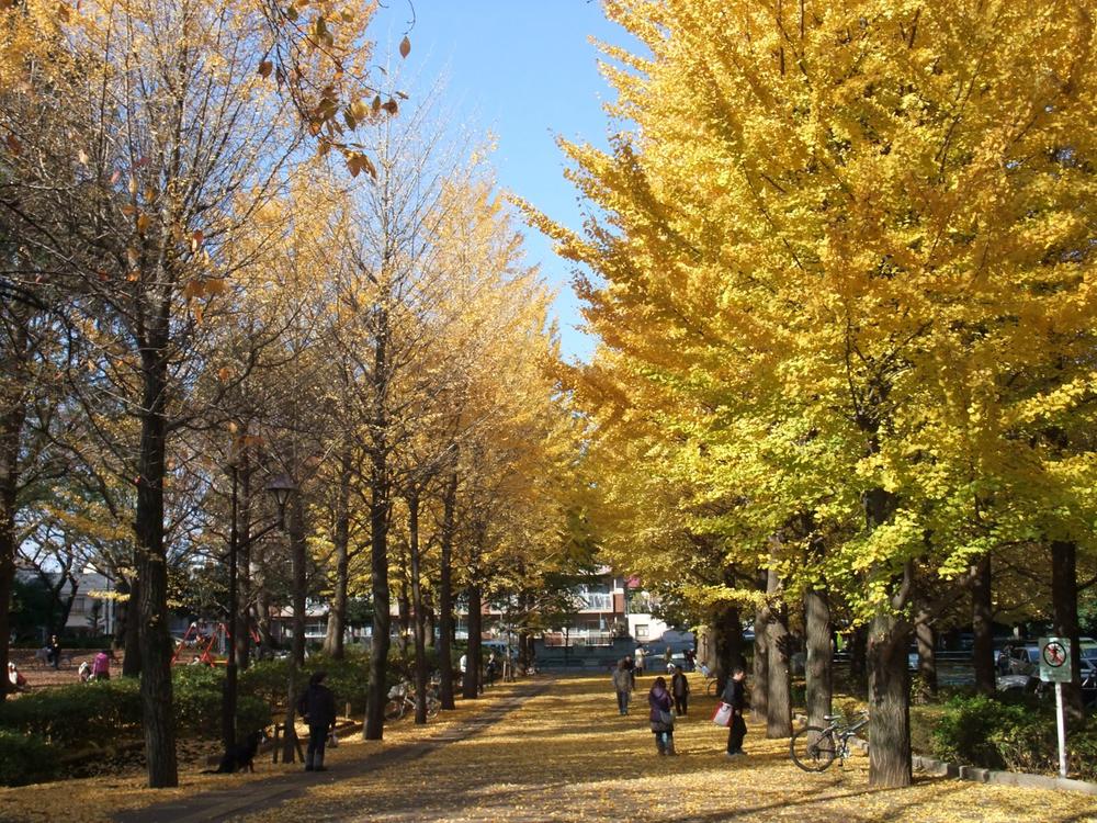 park. Metropolitan Johoku to Central Park 980m