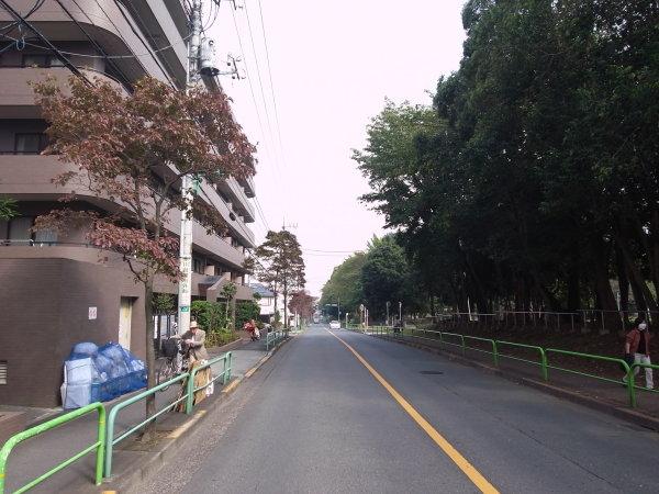 Other local. Front road there is a landscaped sidewalk