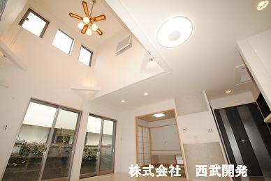 Living. Indoor (10 May 2013) Shooting