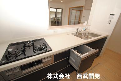 Bathroom. Indoor (10 May 2013) Shooting