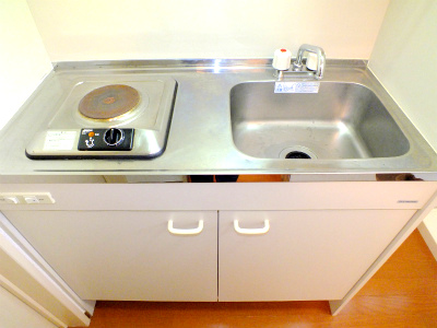 Kitchen. Working space