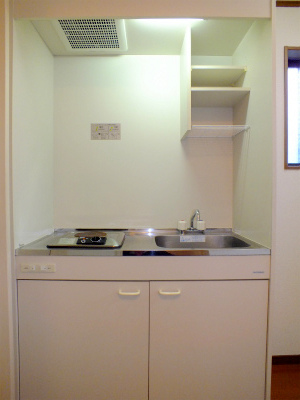 Kitchen. Electric stove with a mini kitchen