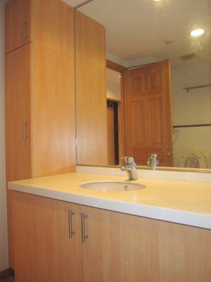 Washroom. Stylish front mirror-covered wash basin