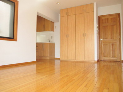 Living and room. Spacious studio