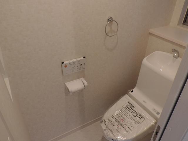 Wash basin, toilet. Indoor (11 May 2013) Shooting