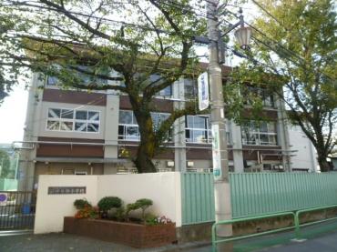 Primary school. Shakujii until Nishi Elementary School 558m