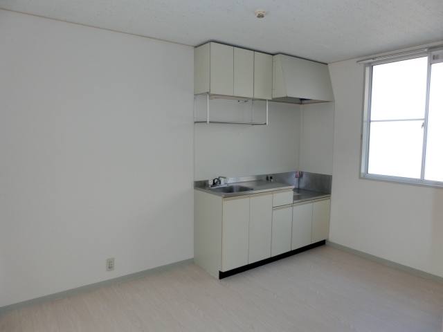 Kitchen. Bright dining