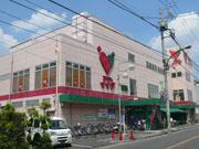 Supermarket. Commodities Iida to Oizumi shop 350m