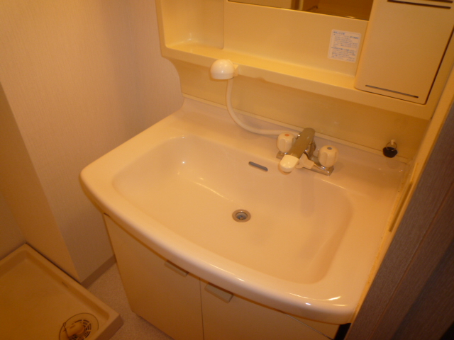 Washroom. Shampoo dresser