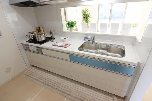 Other introspection. Local model room kitchen