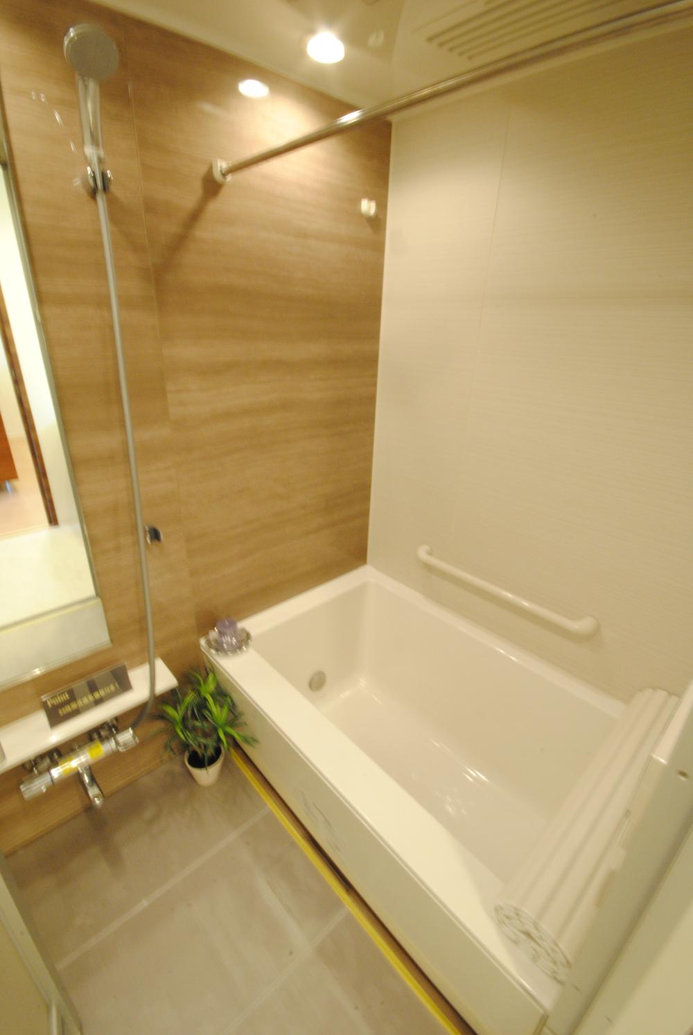 Bathroom. Local (11 May 2012) shooting