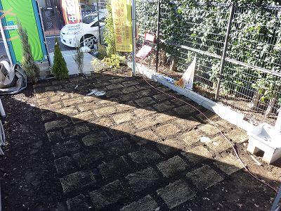 Garden. Local (12 May 2013) Shooting