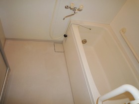 Bath. Additional heating with bus