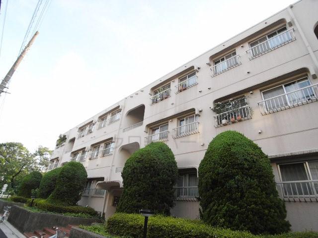 Local appearance photo. appearance