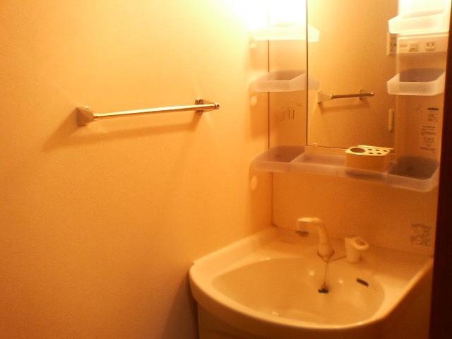 Washroom. Morning of hair set in a separate wash basin pat.