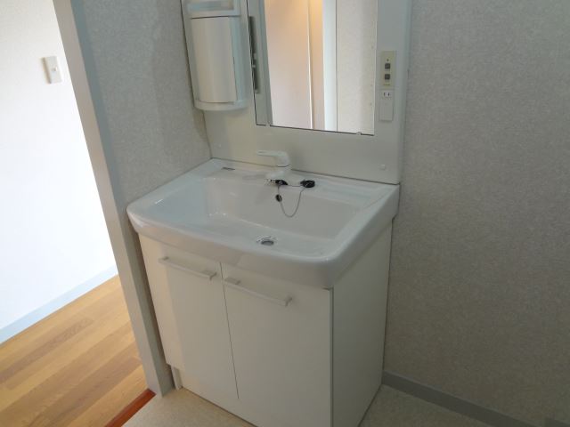 Washroom. Happy independence vanity