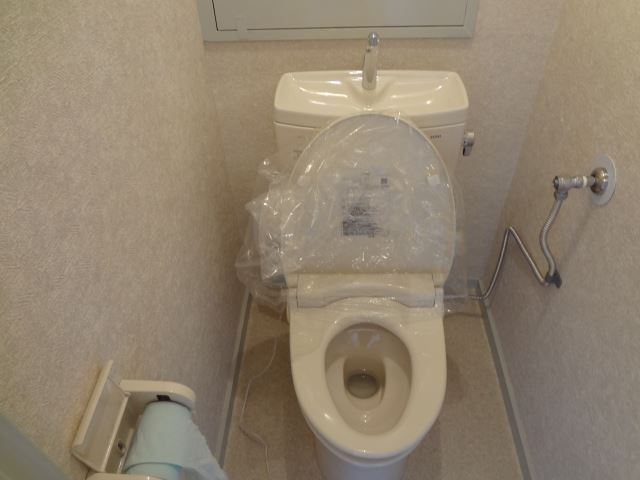 Toilet. Clean toilets