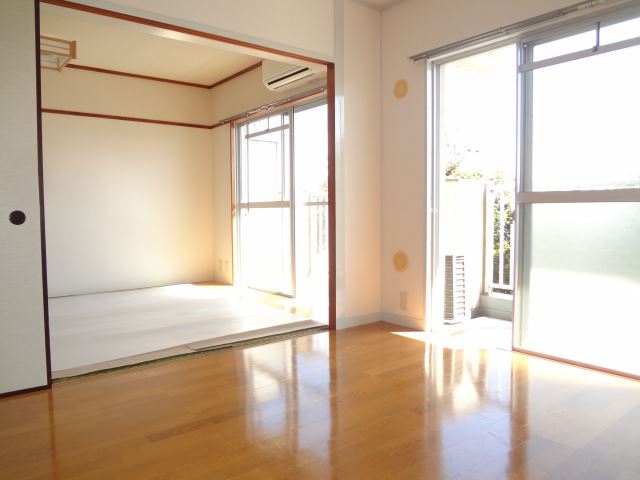 Living and room. Bright living room