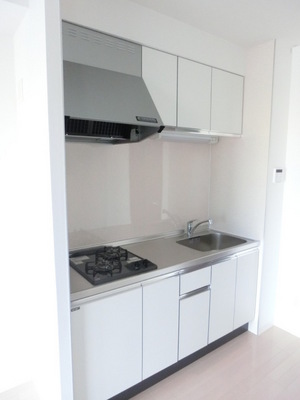 Kitchen. The entire kitchen