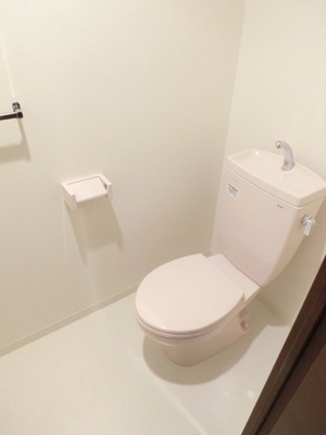 Toilet. Spacious bright toilet
