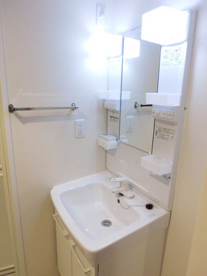 Washroom. Independent wash basin