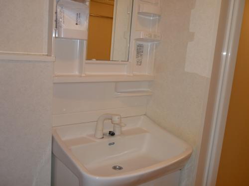 Washroom. Convenient independent wash basin