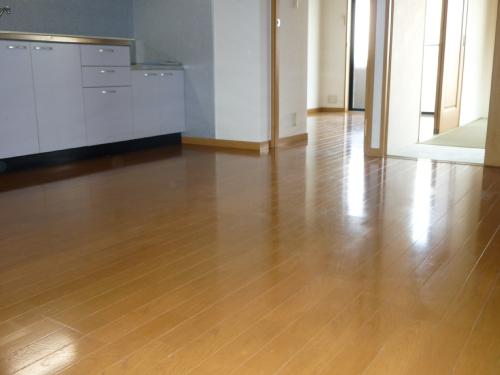 Living and room. Living