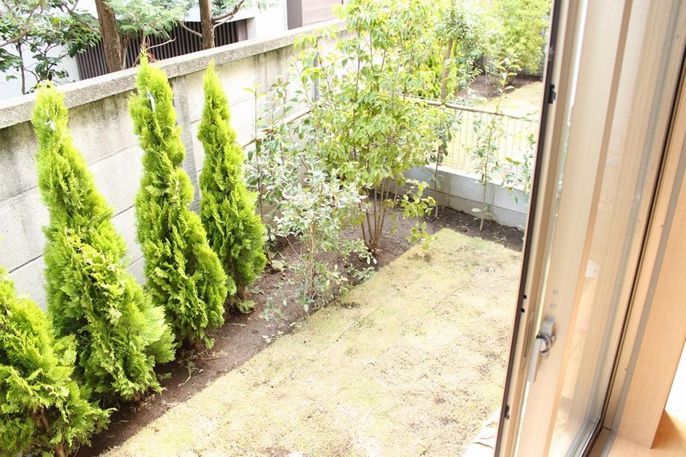 Garden. Local (July 2013) Shooting 