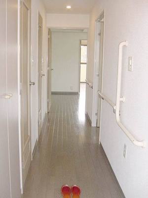 Entrance. Corridor as seen from the front door