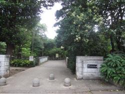 park. It is the widest park in 893m Nerima Ward of the park up to Musashi Seki park