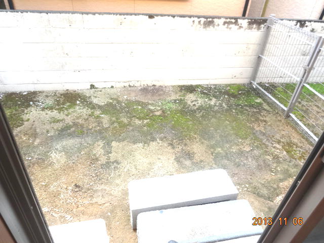 Garden. Dedicated the garden.