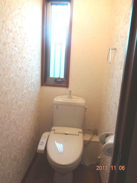 Toilet. Cleaning is a toilet seat formula.