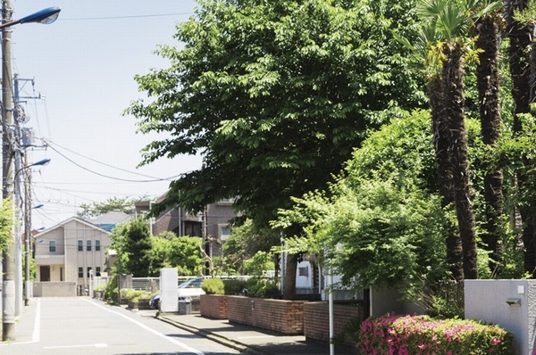 Local neighborhood of streets (230m / A 3-minute walk)