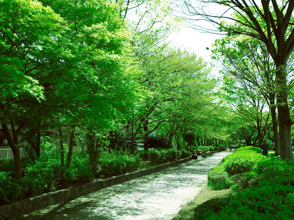 Surrounding environment. Metropolitan Johoku Central Park (a 15-minute walk ・ 1190m)