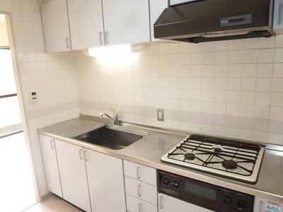 Kitchen. System Kitchen (reference photograph of another in Room)