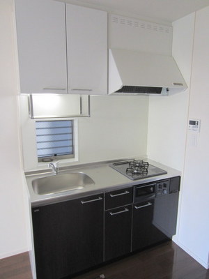 Kitchen. 2-neck Gasukitchin with grill