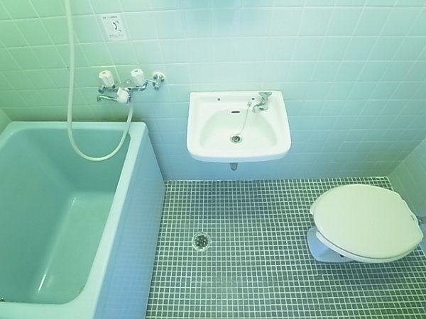 Nerima-ku, Tokyo Toyotamakami 2