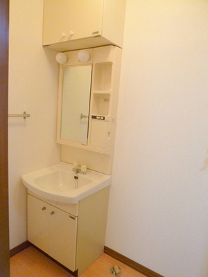 Washroom. This basin dressing room