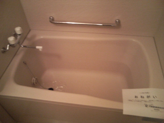 Bath. Barrier-free bathroom with handrail!