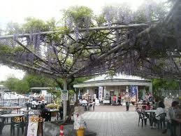 Other. Increases the nature and interact opportunity along with the children. 