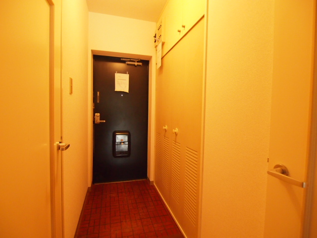 Entrance. Shoebox space is rich. 