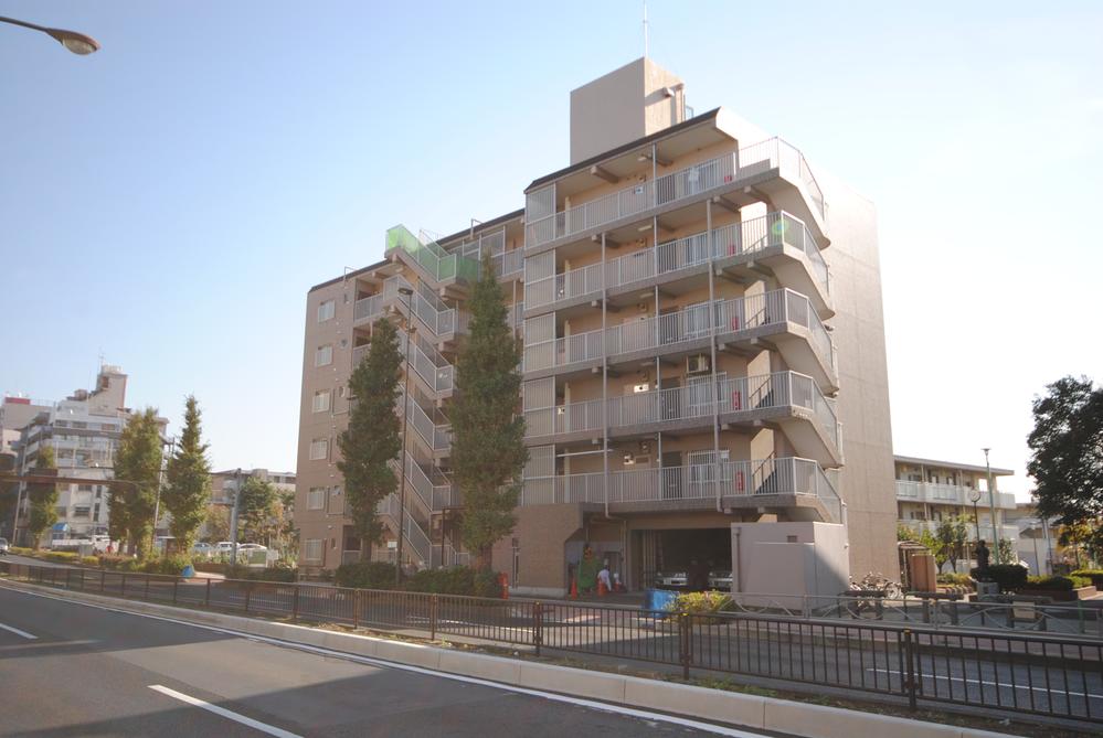 Local appearance photo. Local (11 May 2012) shooting