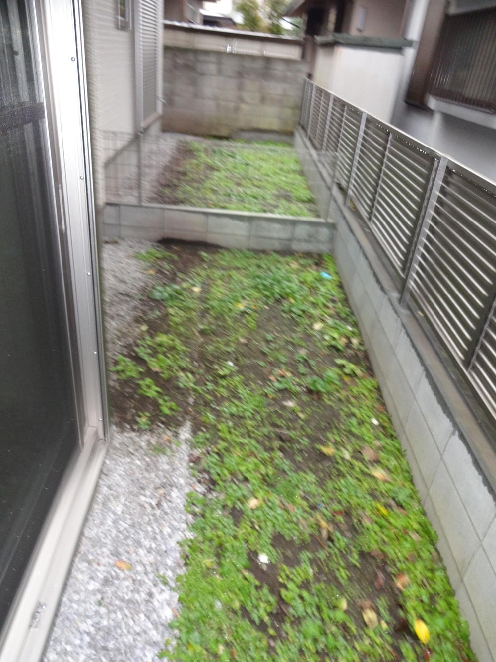 Garden. Garden (December 2013) Shooting