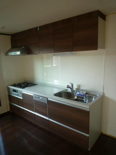 Kitchen. Indoor (11 May 2013) Shooting