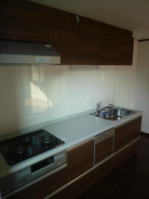 Kitchen. Indoor (11 May 2013) Shooting