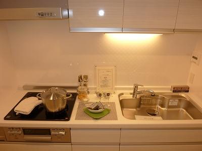 Kitchen. Indoor (10 May 2013) Shooting