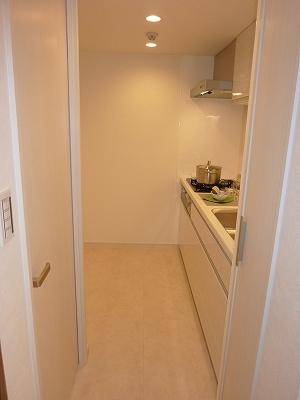 Kitchen. Indoor (10 May 2013) Shooting