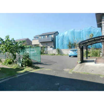 Local land photo. appearance