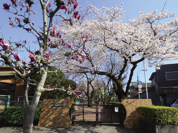 Surrounding environment. Hachiman kindergarten (about 650m / A 9-minute walk)