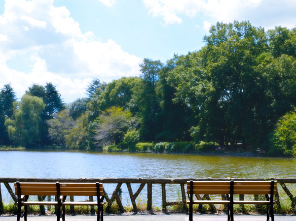 Surrounding environment. Zenpukuji park (8-minute walk / About 610m) park constructed at the center of two of the pond. Playing in a boat, Or loveth flying to waterfowl, Cherry Blossoms ・ Water lily ・ You can enjoy the seasonal flowers such as autumn leaves.